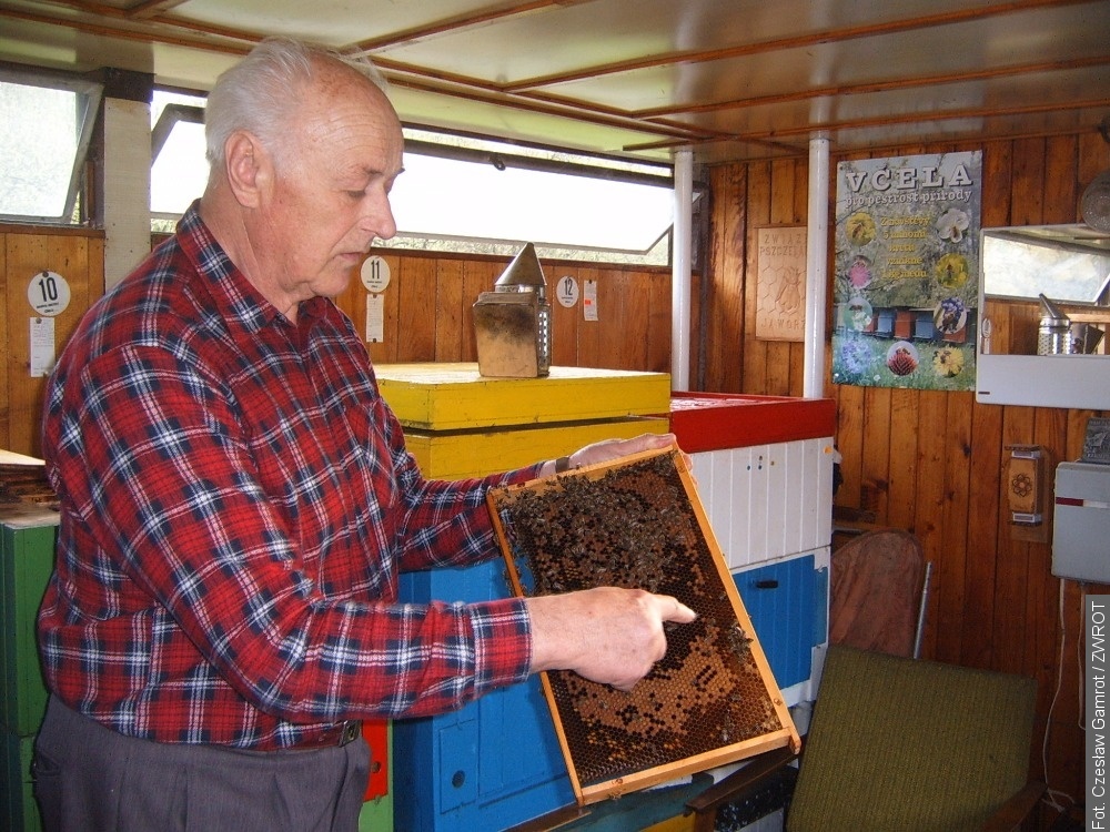 Včely ve službách lidí