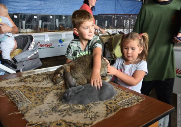 V Jablunkově se konal čtvrtý ročník výstavy králíků, drůbeže a exotického ptactva