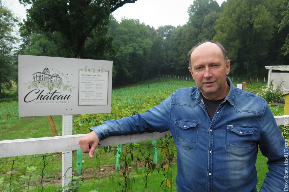 Víno jako potenciál pro Těšínské Slezsko? Marcin Lipski v tom má jasno