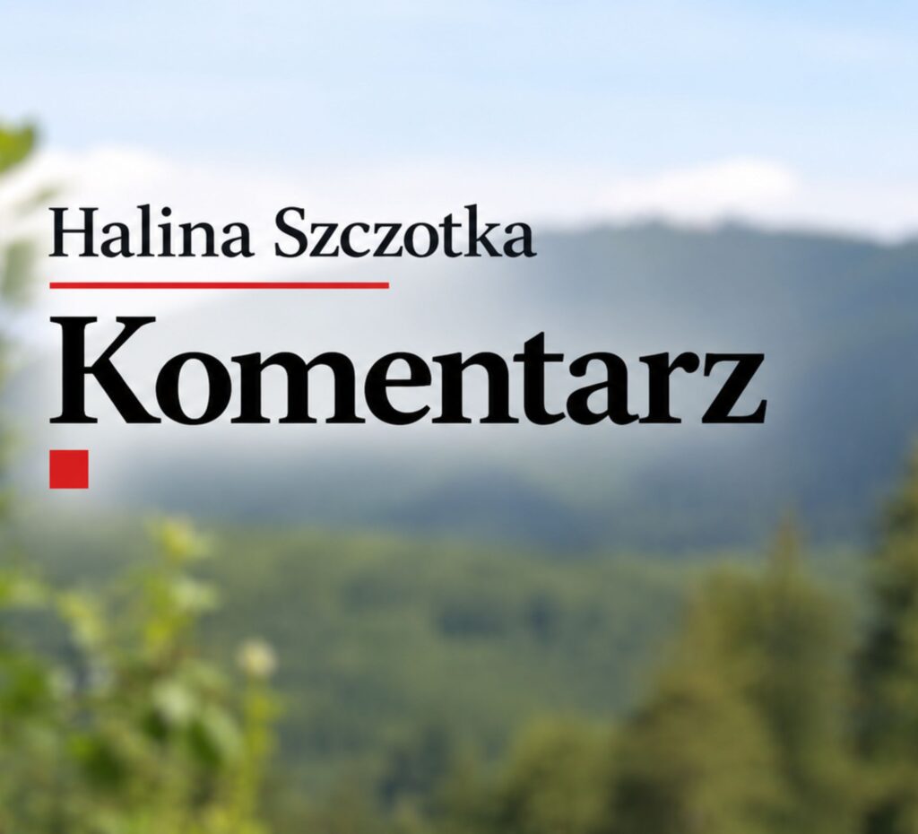 <strong>VOLBY. Když chybí kvalitní žurnalistika, slibovat se dá cokoli</strong>